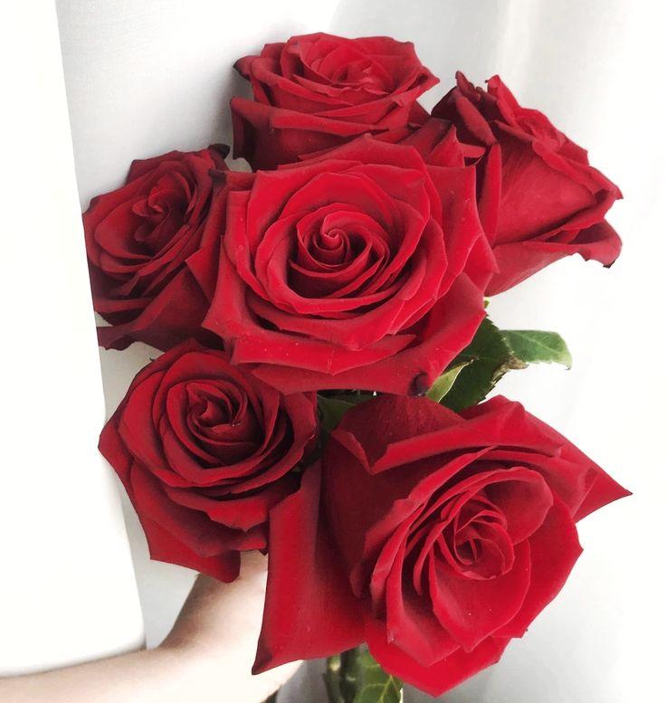 Grove Fuzzy Haven workshop space where corporate flower arrangements are designed and prepared for business delivery